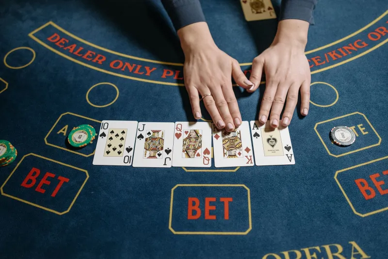 North, South, East, West: How Where You Live Shapes How You Gamble
